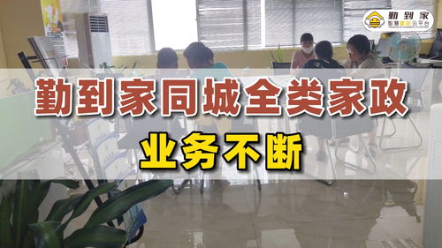 家政服务平台怎么做 勤到家同城全类家政