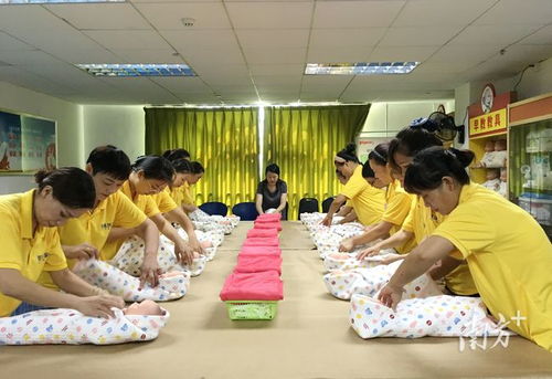 满足 一老一小 服务需求,东莞累计开展 南粤家政 培训超4万人次