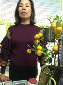 图 福田区梅林保姆服务费优惠中上梅林保姆下梅林保姆服务公司 深圳家政