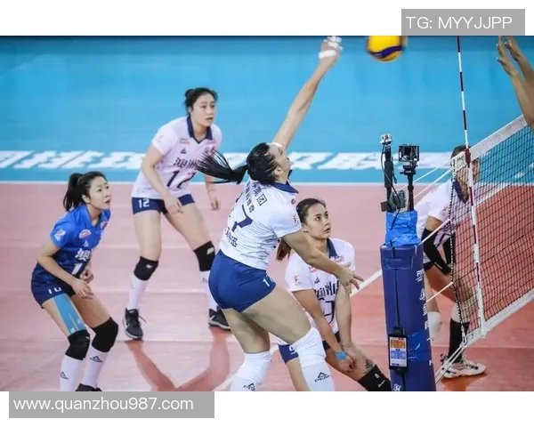 深圳排球队创历史新高力量排名跃升引发关注与期待