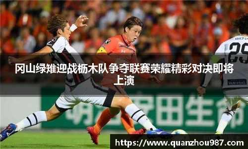 冈山绿雉迎战枥木队争夺联赛荣耀精彩对决即将上演