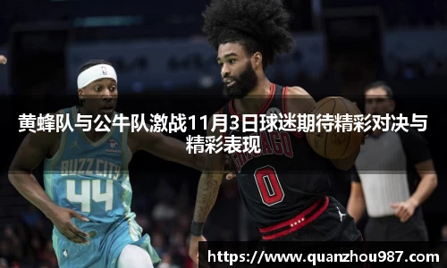 黄蜂队与公牛队激战11月3日球迷期待精彩对决与精彩表现