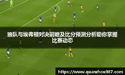 狼队与埃弗顿对决前瞻及比分预测分析助你掌握比赛动态