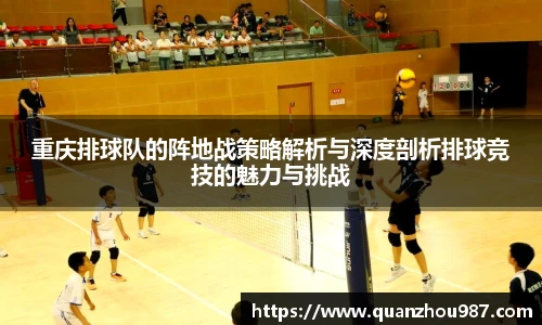 重庆排球队的阵地战策略解析与深度剖析排球竞技的魅力与挑战